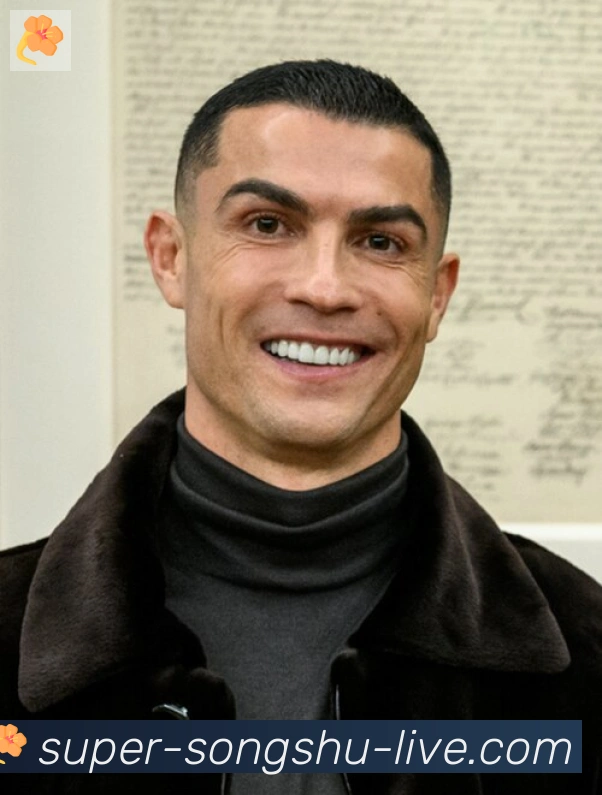 维尼修斯